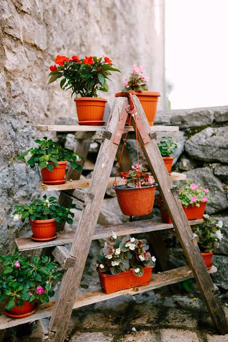Creative Garden Displays: The Charm of Ladder Plant Stands